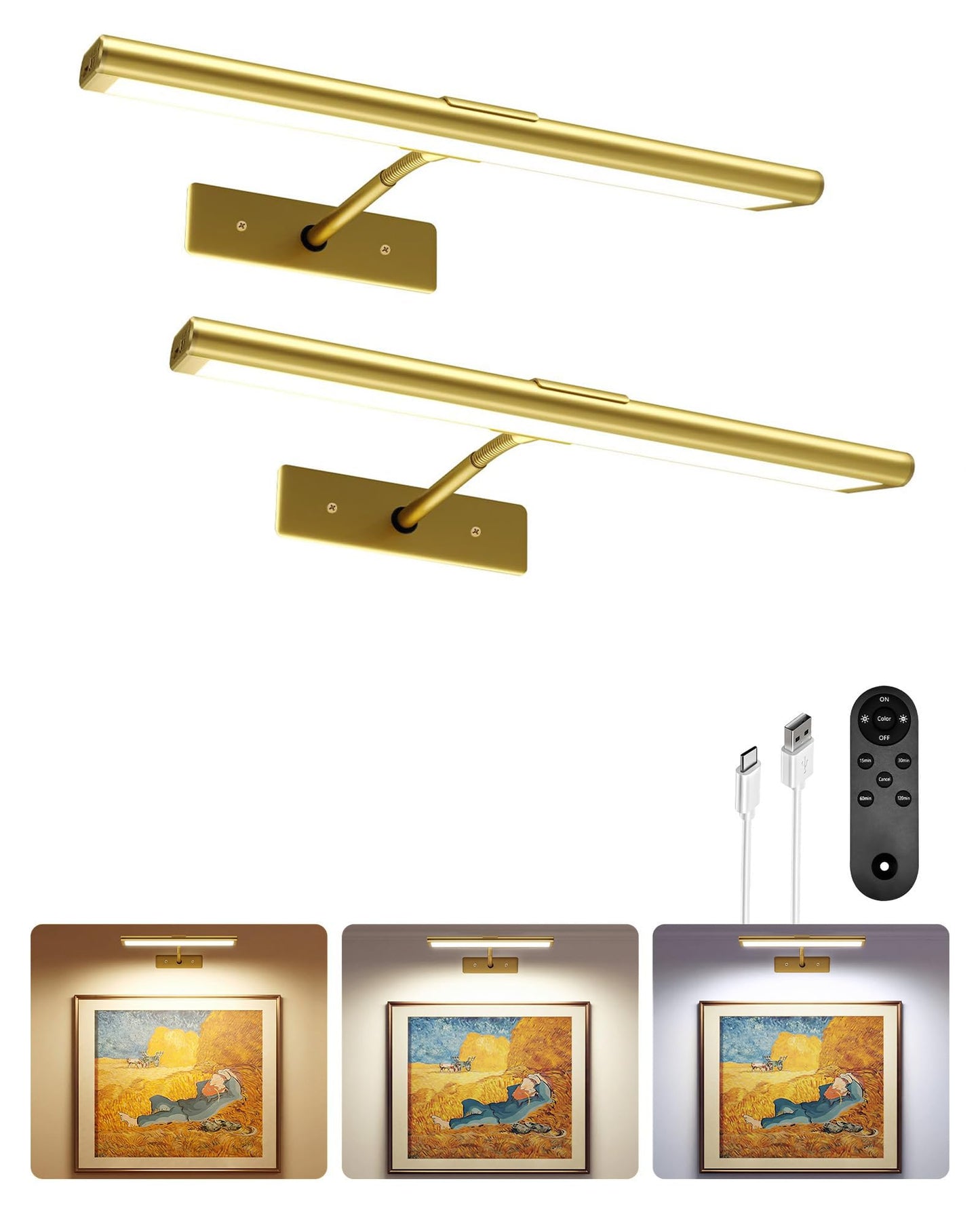 EZVALO Picture Light for Wall, 4800mAh Rechargeable Wireless Remote, 16in Dimmable Magnetic LED Art Display Light with 3 Color Temperatures, for Gallery, Living Room, Bedroom, Hallway (Gold)
