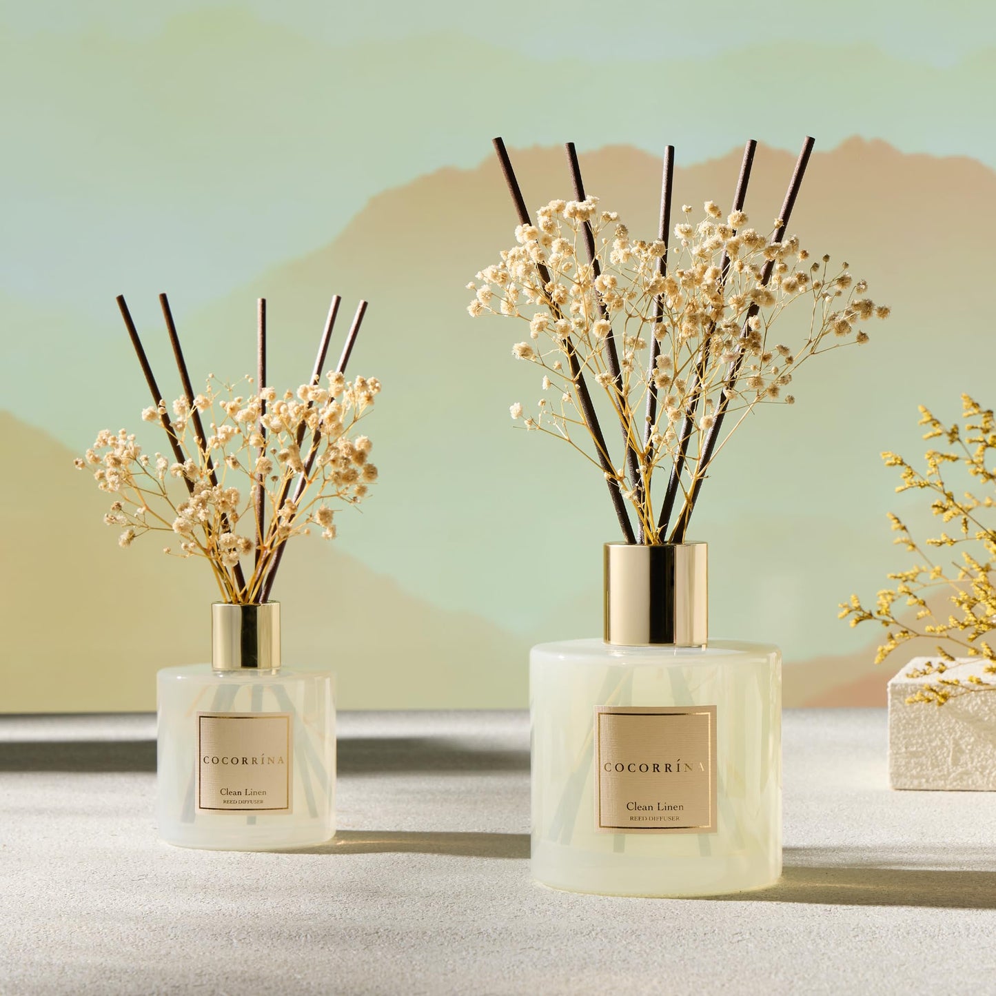 COCORRÍNA Reed Diffuser - Cashmere Vanilla 6.7 fl oz Reed Diffuser for Bedroom Bathroom Home Décor