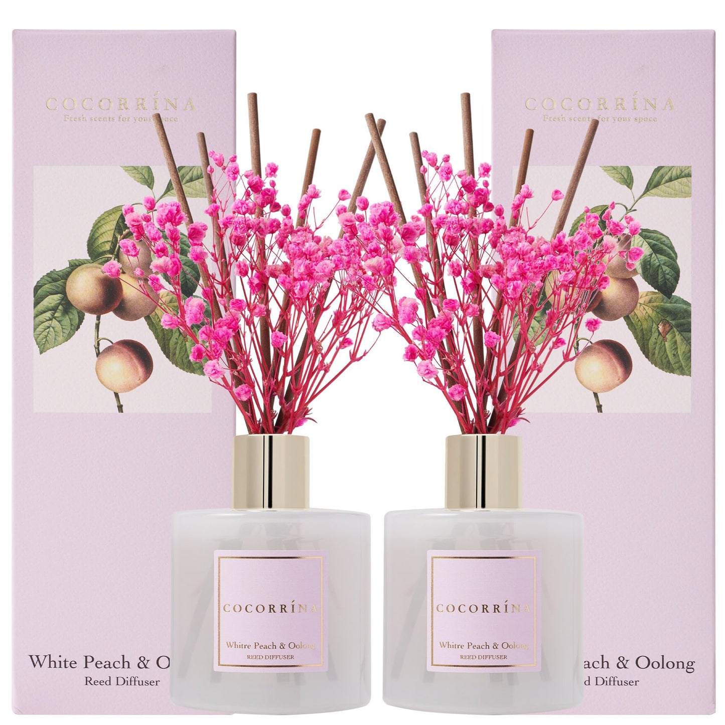 COCORRÍNA Reed Diffuser - Cashmere Vanilla 6.7 fl oz Reed Diffuser for Bedroom Bathroom Home Décor