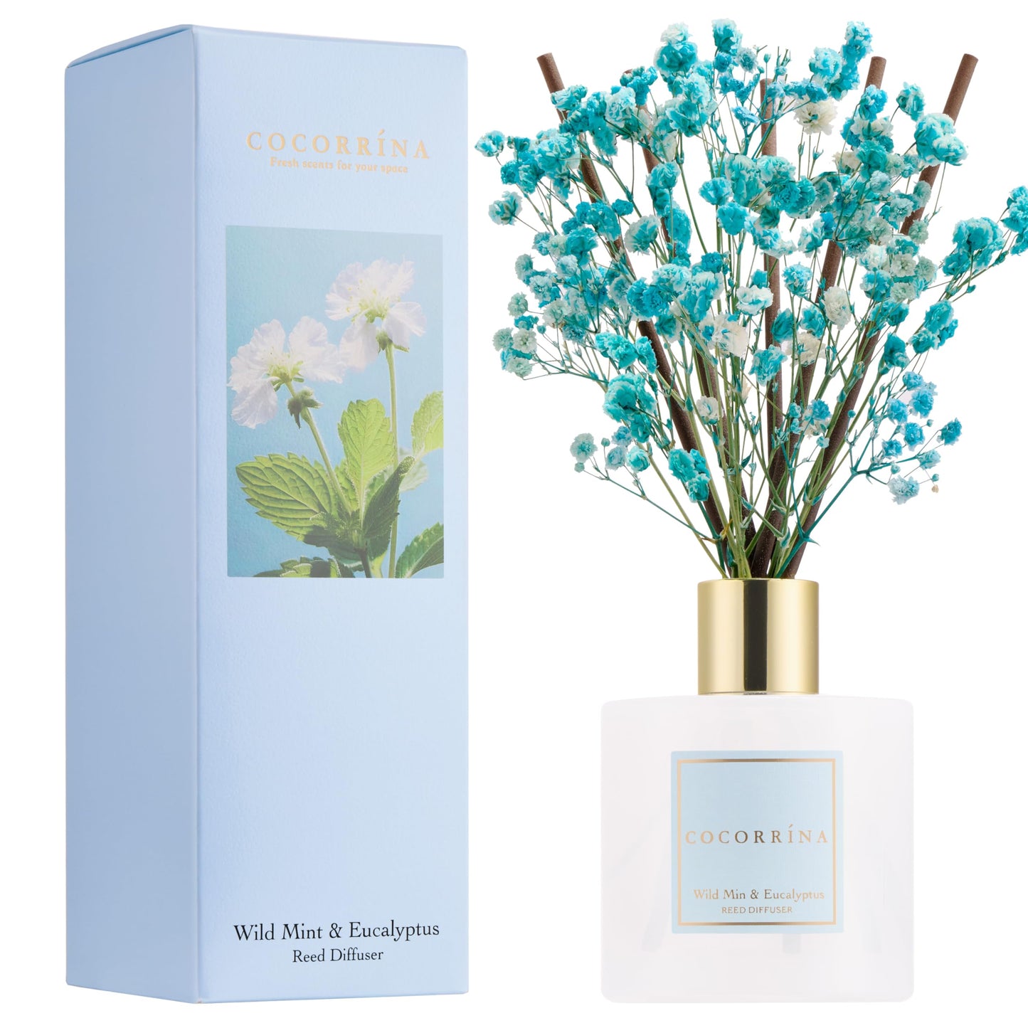 COCORRÍNA Reed Diffuser - Cashmere Vanilla 6.7 fl oz Reed Diffuser for Bedroom Bathroom Home Décor