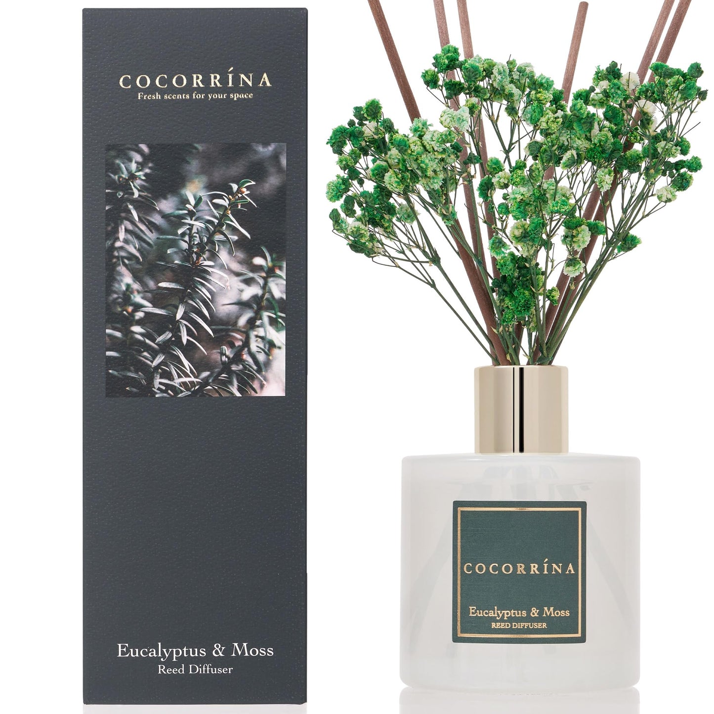 COCORRÍNA Reed Diffuser - Cashmere Vanilla 6.7 fl oz Reed Diffuser for Bedroom Bathroom Home Décor