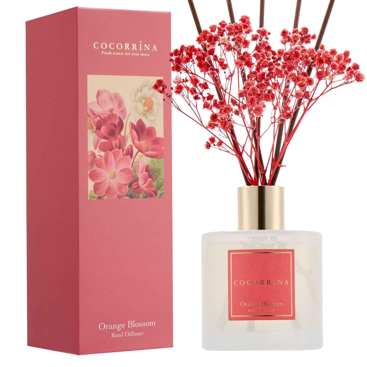 COCORRÍNA Reed Diffuser - Cashmere Vanilla 6.7 fl oz Reed Diffuser for Bedroom Bathroom Home Décor