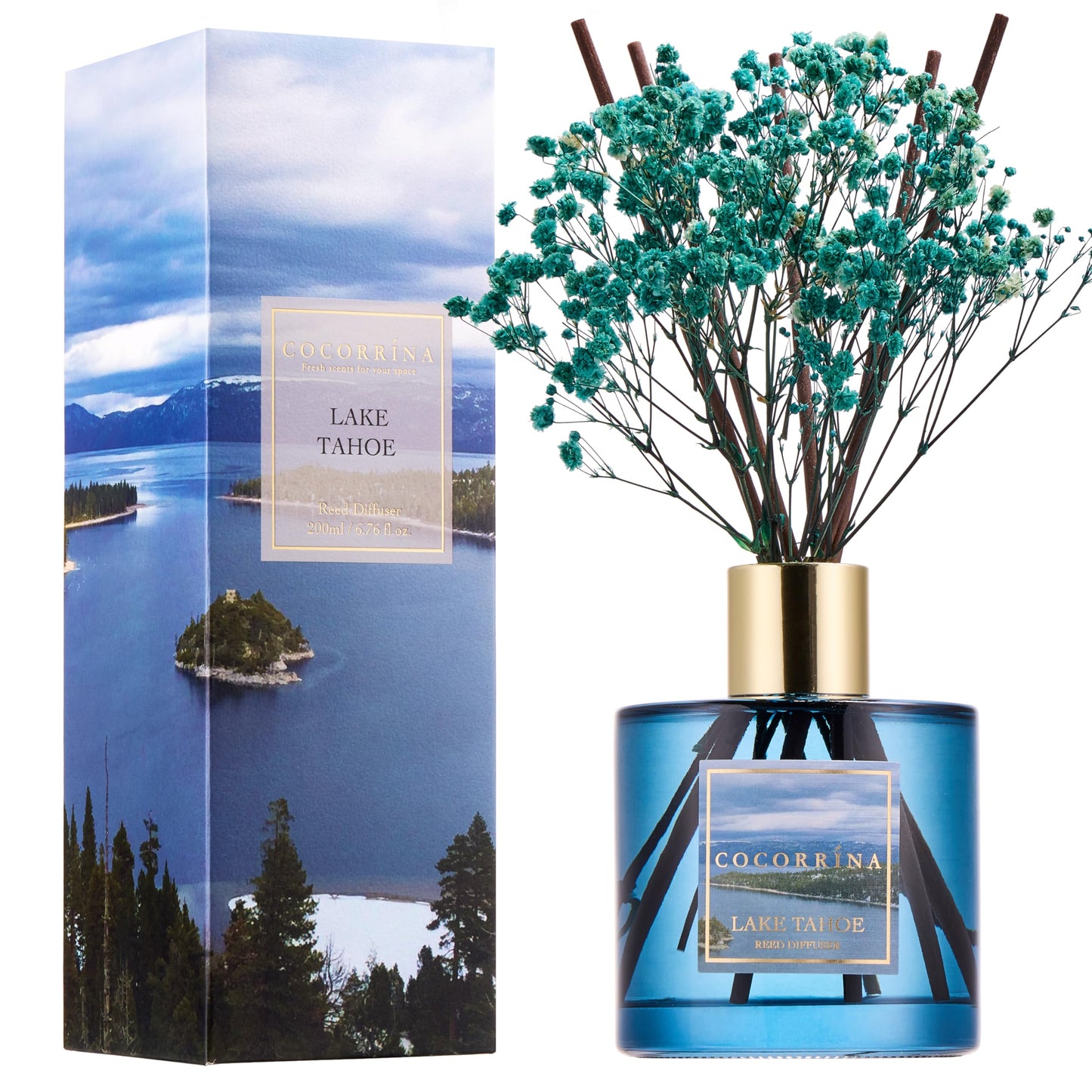 COCORRÍNA Reed Diffuser - Cashmere Vanilla 6.7 fl oz Reed Diffuser for Bedroom Bathroom Home Décor